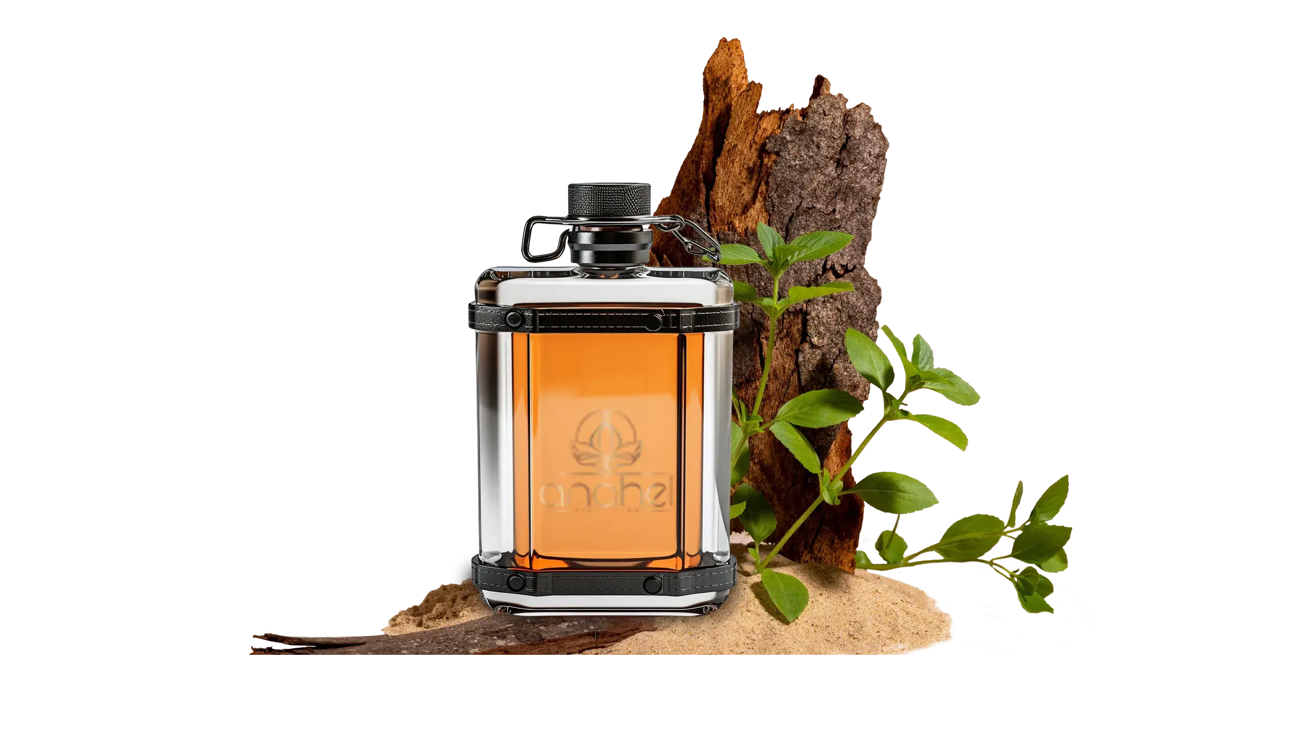 بهترین عطرهای تلخ و خنک مردانه