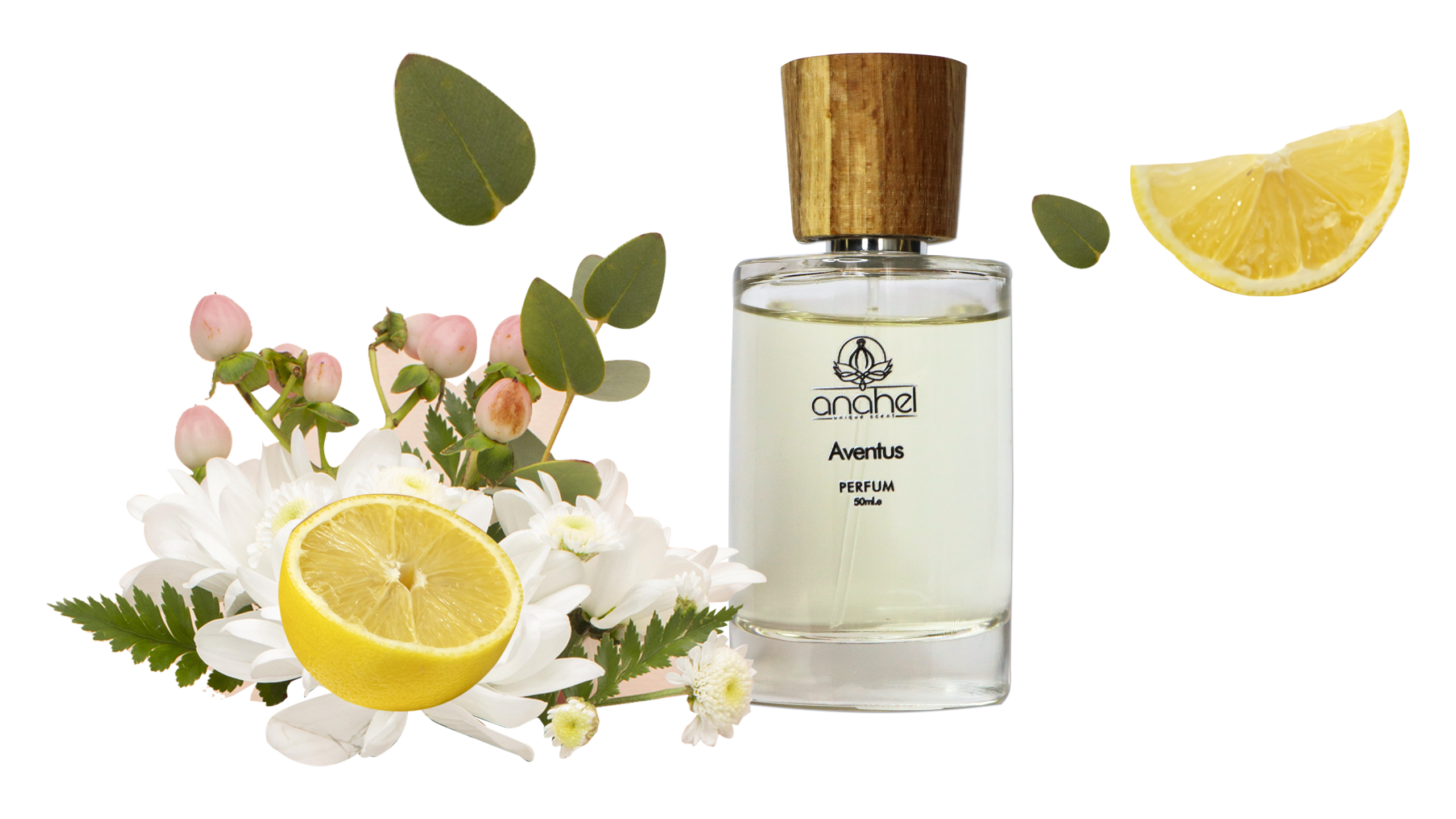 راهنمای جامع عطرهای تلخ و خنک با ماندگاری بالا | گالری آناهل عطرهای تلخ و خنک با ماندگاری بالا