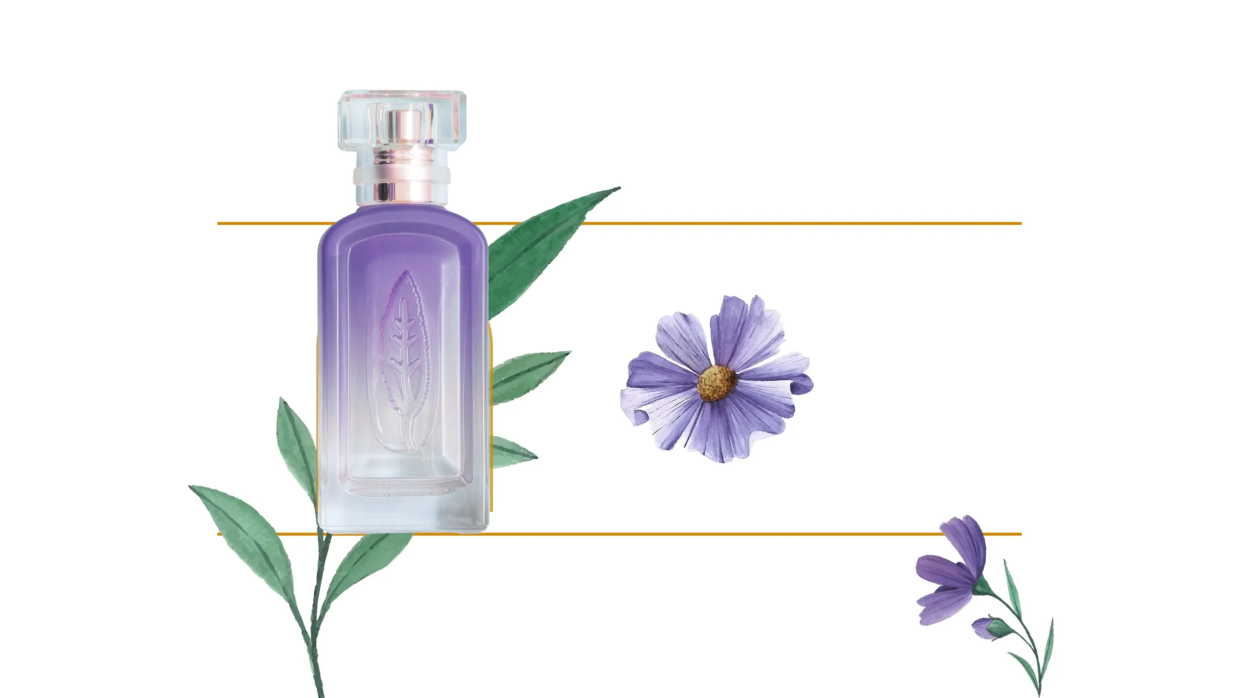 عطرهای مناسب تابستان