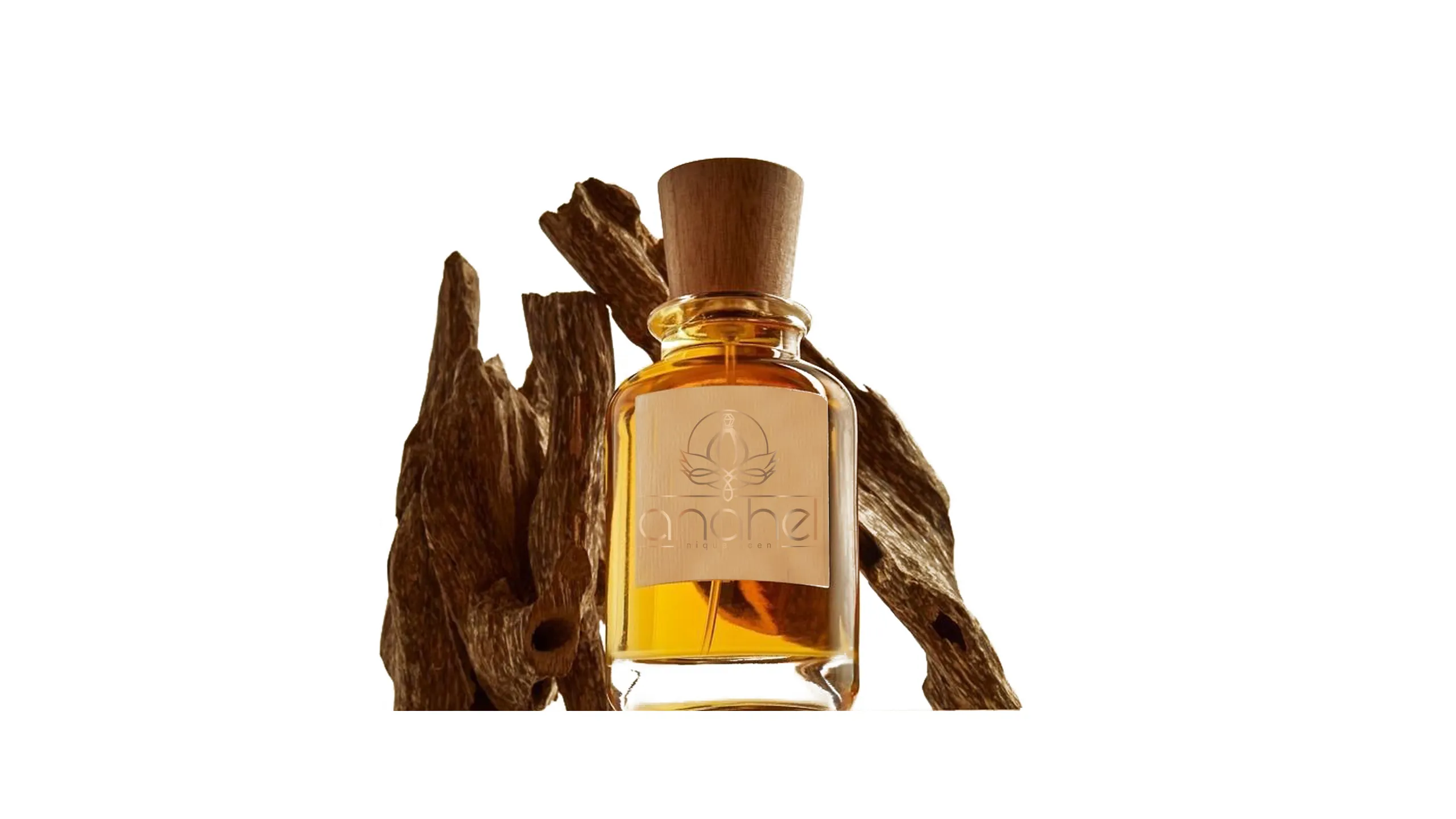 عطرهای تلخ چوبی